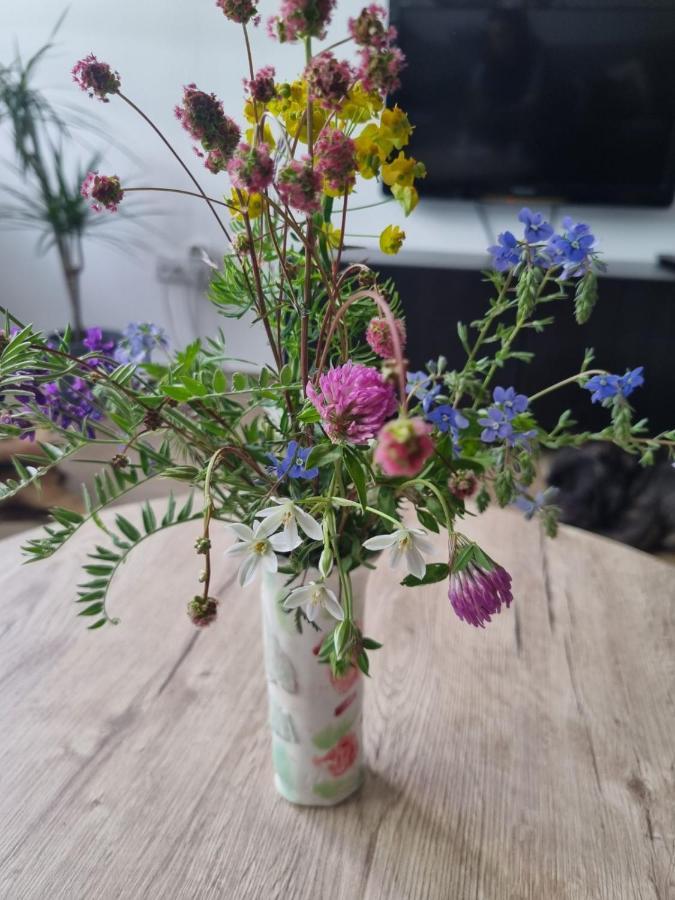 Apartman Nana Divčibare Eksteriør billede